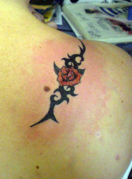 Tribal plus rose